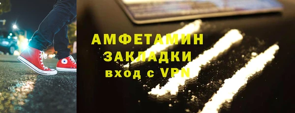 гидра Горняк