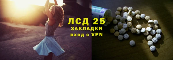 гидра Горняк