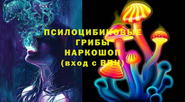 гидра Горняк