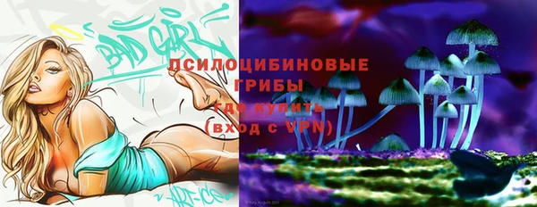 ешки Горно-Алтайск