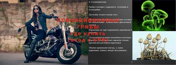 экстази Сосновый Бор