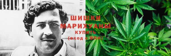 гидра Горняк