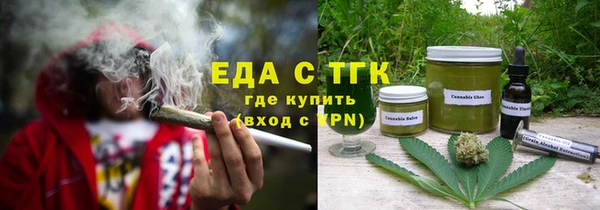 гидра Горняк